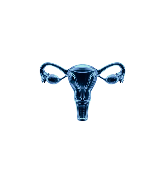 Ultrahuman Blood Vision - Hormone Health Female (At-Lab NY/NJ)